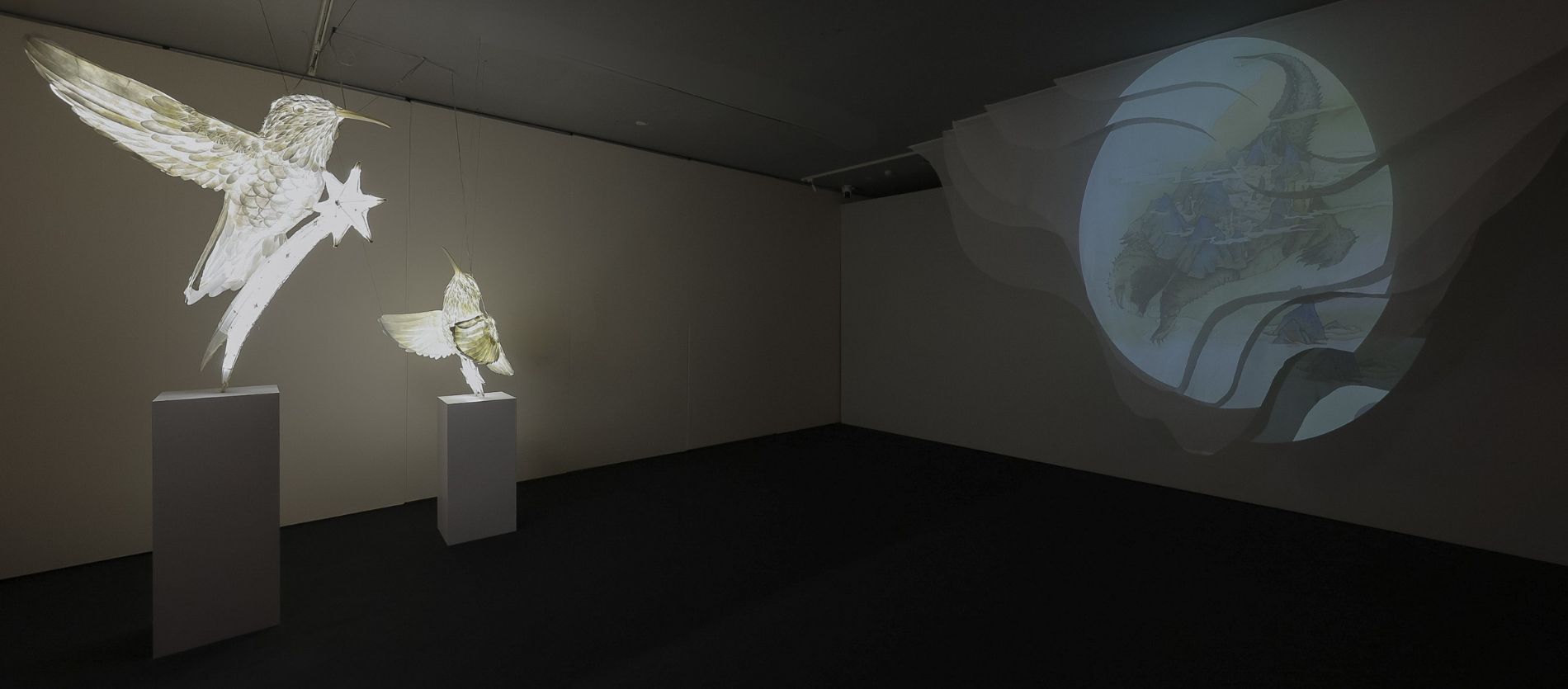 Illusory Landscapes