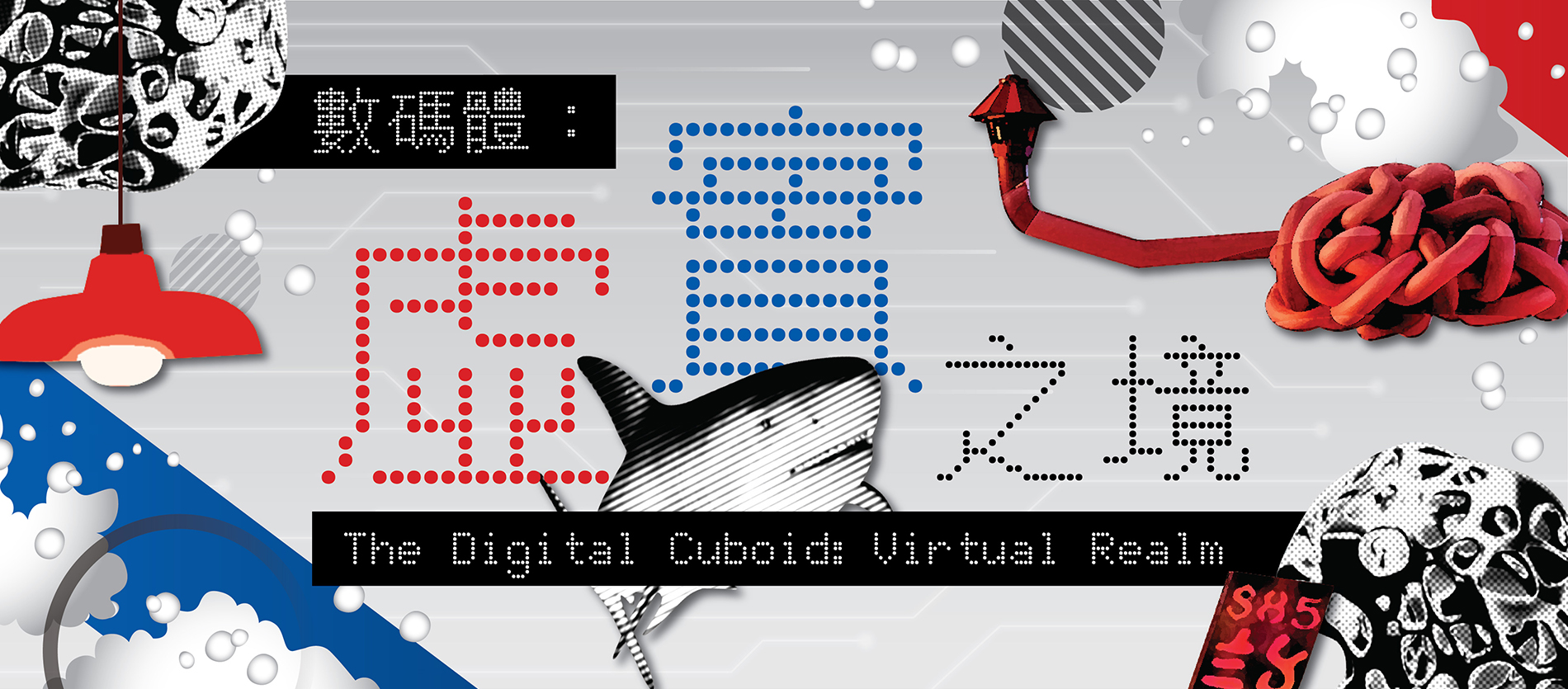 The Digital Cuboid: Virtual Realm