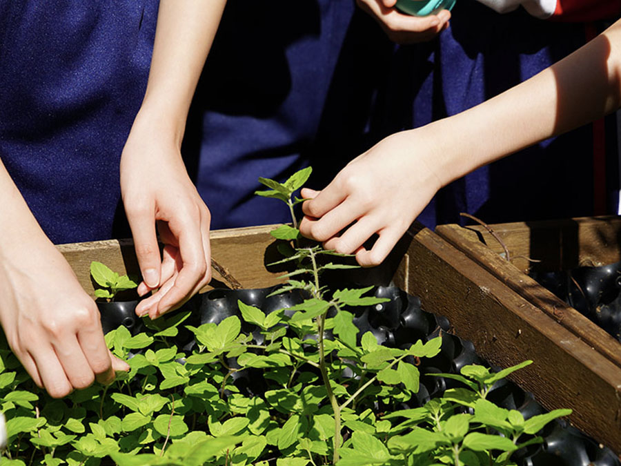 油街實現 &mdash; 藝術綠洲五感探索之旅