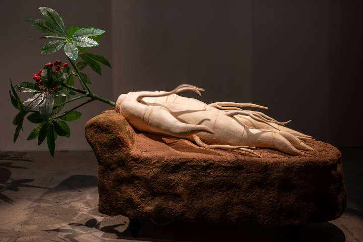 Highlighted Artwork | Ginseng Dreams