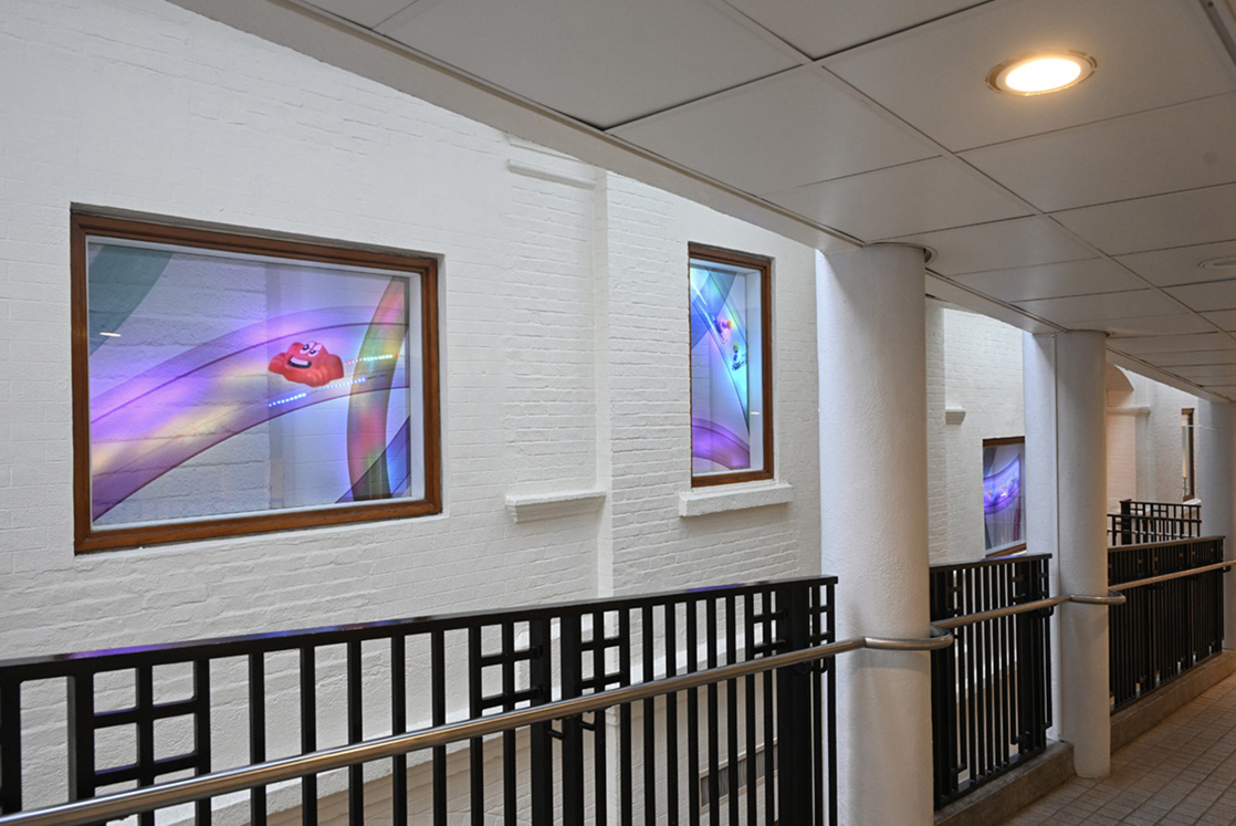 Installation view