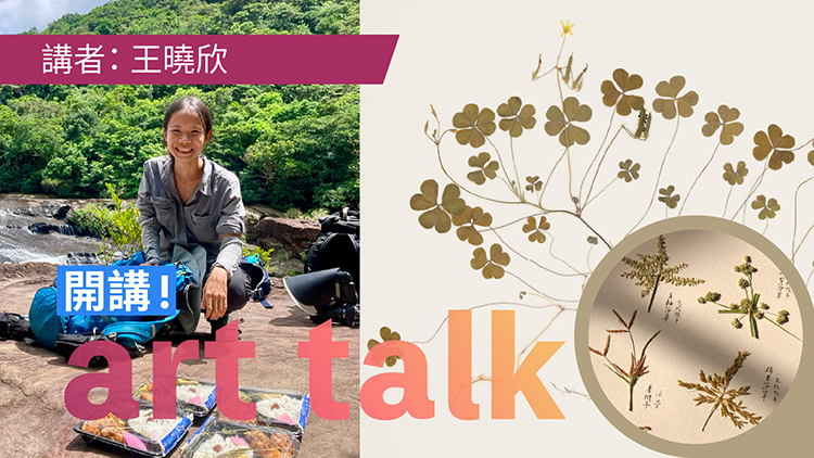 野草生態 X 植藝創作 野草生態 X 植藝創作