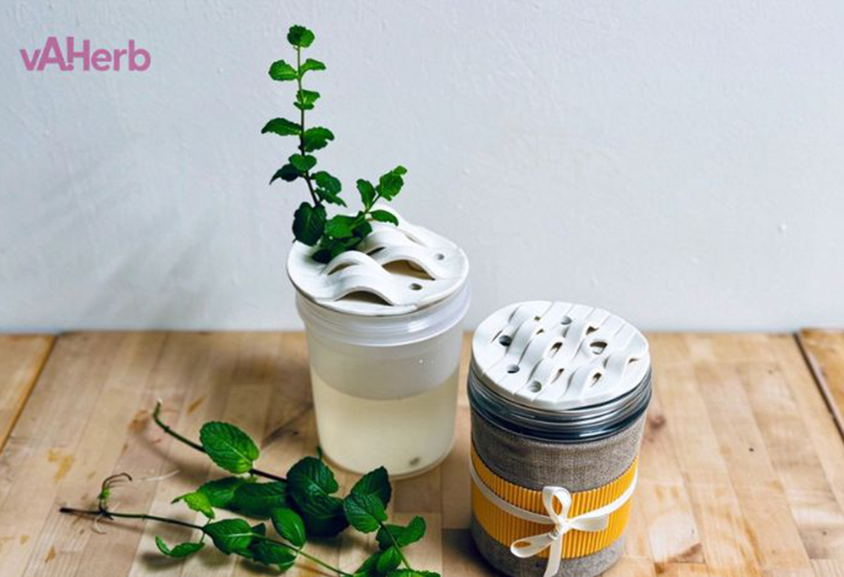 vA!Herb+++ 陶製植物架工作坊(手機版本)